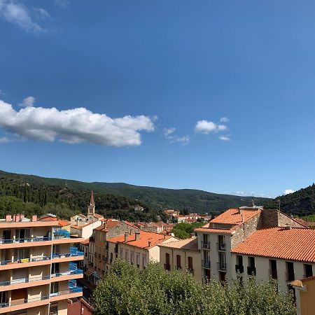 Hotel Des Bains Et Des Gorges Amélie-les-Bains-Palalda Εξωτερικό φωτογραφία